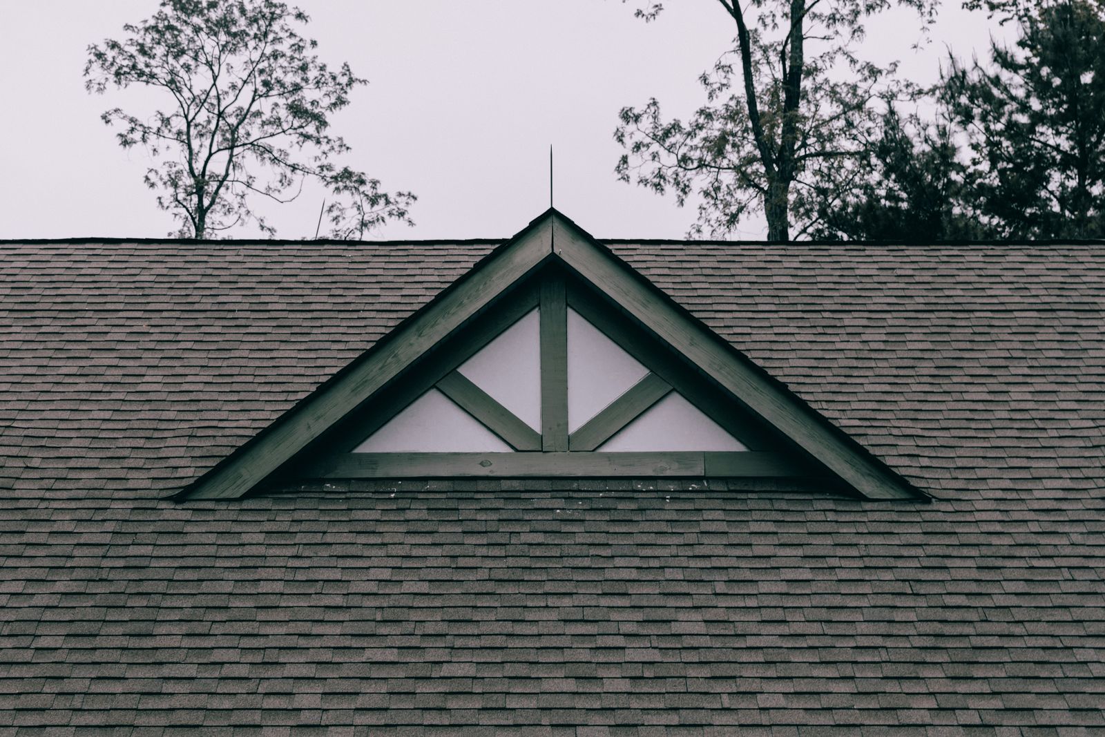 Shingle roof and timber gable detail with hardwoods and pines close behind the house